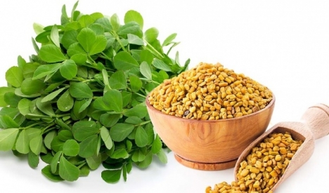 Cỏ cari Mỹ - Liều thuốc thần kỳ cho sinh lý phái mạnh