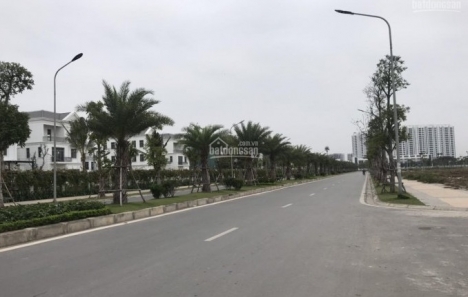 Bán đất đấu giá LK, BT khu C14 phường Phúc Đồng, Long Biên, cạnh Vinhomes Harmony, tiện KD buôn bán