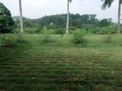 Bán không gian sống xanh 1000m2 (đất biệt thự nghỉ dưỡng trong khu Sunrise Villas) tại Lương Sơn,