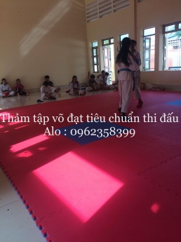 thảm võ thuật , thể thao đạt tiêu chuẩn thi đấu