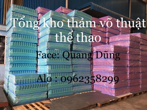 thảm võ thuật , thể thao đạt tiêu chuẩn thi đấu
