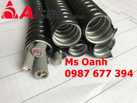 Ống kẽm ruột gà lõi sắt - Ống sun sắt - Ống ruột gà gân