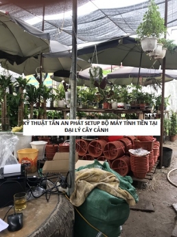 Tiền Giang cung cấp máy tính tiền giá sinh viên cho mô hình kinh doanh cây cảnh
