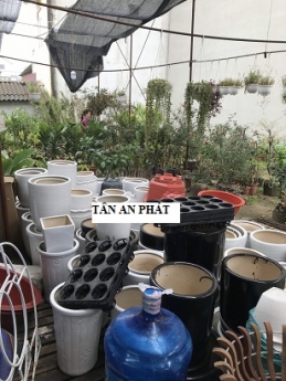 Bán máy tính tiền cho shop cây cảnh tại giá rẻ tại Long An