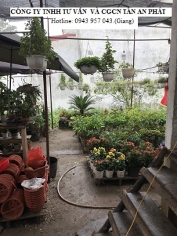 Tiền Giang cung cấp máy tính tiền giá sinh viên cho mô hình kinh doanh cây cảnh