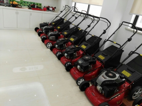 Máy cắt cỏ đẩy tay tự hành DICH DCM1668 chuyên cắt cỏ công viên, sân bóng, sân golf siêu hiện đại