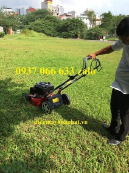 Máy cắt cỏ đẩy tay tự hành DICH DCM1668 chuyên cắt cỏ công viên, sân bóng, sân golf siêu hiện đại