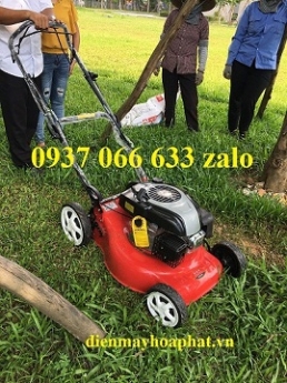 Máy cắt cỏ đẩy tay tự hành DICH DCM1668 chuyên cắt cỏ công viên, sân bóng, sân golf siêu hiện đại