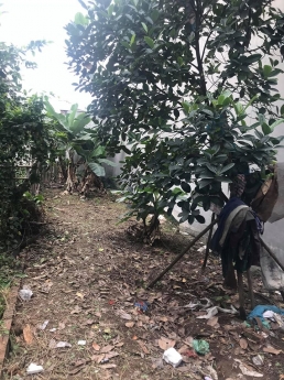 Đất trong ngõ đường Thiên Lôi Sau Aeon Mall.