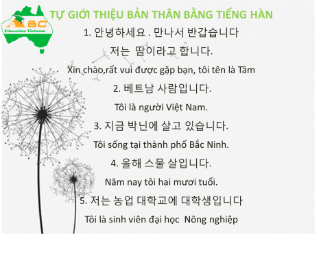 Cùng ABC chinh phục tiếng hàn ngay từ những bước đầu tiên nhé các bạn