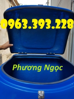 Thùng giao hàng trung 2, thùng ship hàng sau xe máy, thùng chở đồ ăn