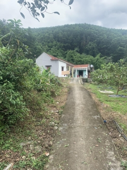 BÁN LÔ ĐẤT CỰC CỰC ĐẸP, SIÊU SIÊU RẺ 985M2, GIÁ CHỈ 700TR TẠI XÃ SƠN DƯƠNG – TP HẠ LONG QUẢNG NINH