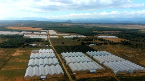 GIÁ ƯU ĐÃI 70TR/1000M2 - THẤP HƠN GIÁ ĐỀN BÙ NHÀ NƯỚC
