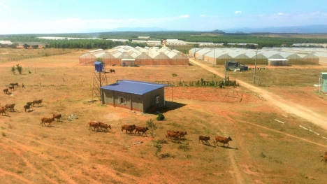 BÌNH THUẬN - ĐẤT VÀNG - GIÁ RẺ - 70TR/1000M2