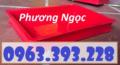 Khay nhựa BL006, khay nhựa đựng linh kiện, khay nhựa loại nhỏ