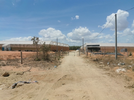 LÔ ĐÁT GIÁ RẺ - ĐÃ CÓ SỔ - GIÁ 70TR/1000M2