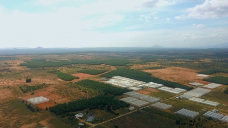MUA ĐẤT CÓ SỔ CHỈ CÓ 70TR/1000M2  - ĐÓN ĐẦU CAO TỐC