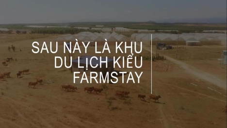 BÁN ĐẤT CÓ SỔ - TỈNH BÌNH THUẬN - GIÁ 70TR/1000M2