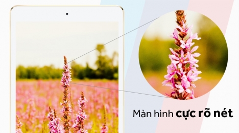 Học online - Mua ngay iPad Gen 5