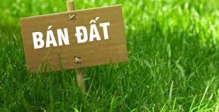 Bán 100m2 thiên lôi, vĩnh niệm ôt đỗ trong đất giá 14.5tr/m2