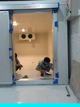 Dịch vụ uy tín về sửa chữa kho lạnh công nghiệp 