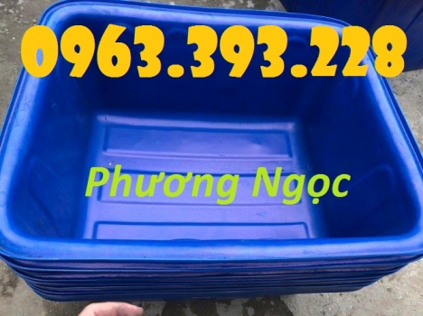 Thùng nhựa chữ nhật nuôi cá, thùng nhựa công nghiệp, thùng dung tích lớn