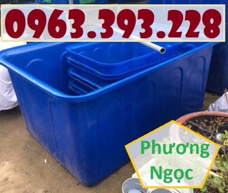 Thùng nhựa chữ nhật nuôi cá, thùng nhựa công nghiệp, thùng dung tích lớn