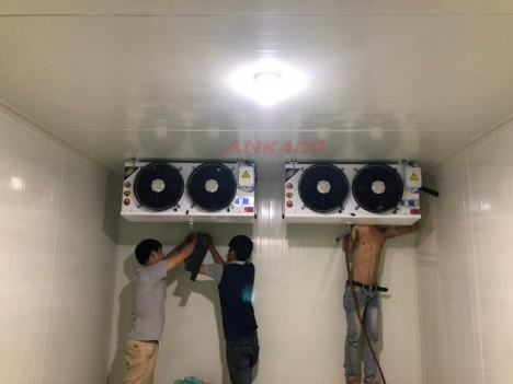 Cung cấp dịch vụ sửa chữa kho lạnh chuyên nghiệp giá rẻ
