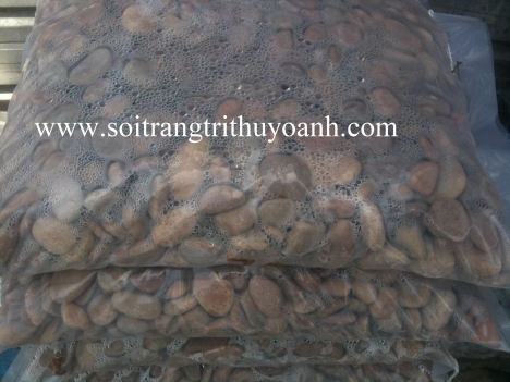 Sỏi tự nhiên