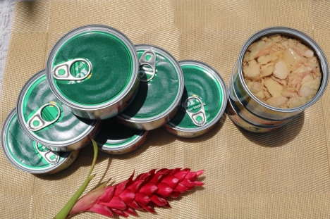 Đồ hộp & chà bông cá ngừ