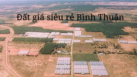 BÁN ĐẤT THEO HIỆN TRẠNG SỔ - 1000M2 CHỈ CÓ 70TR
