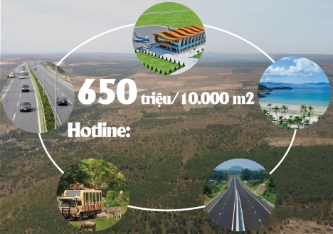 BÌNH THUẬN - 1000M2 CHÍ CÓ 70TR - ƯU ĐÃI TẶNG VÀNG