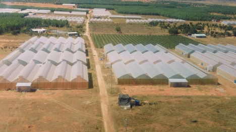 BÌNH THUẬN - ĐẤT NỀN - 70TR/1000M2 - MUA ĐẤT TẶNG VÀNG