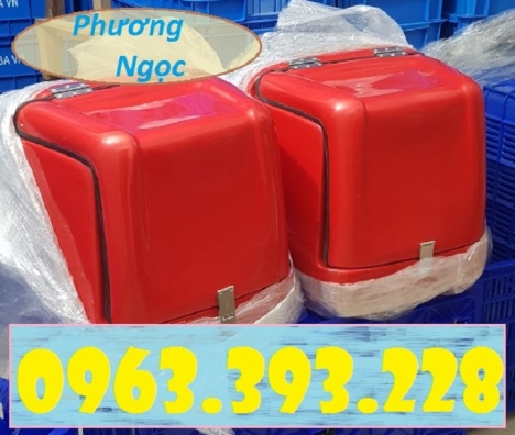 Thùng chở hàng cỡ nhỏ, thùng giao hàng giữ nhiệt, thùng giao đồ ăn