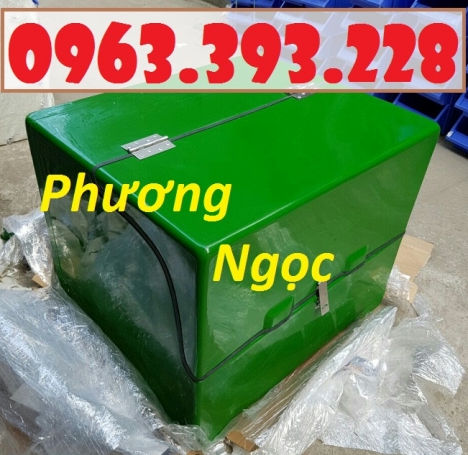 Thùng giao hàng cỡ đại, thùng chở hàng composite, thùng chở hàng sau xe máy