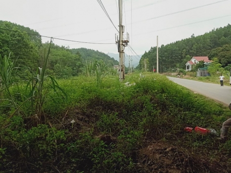 BÁN GẤP HƠN 6HA ĐẤT RỪNG MẶT ĐƯỜNG 326 THÔN VƯỜN RẬM XÃ SƠN DƯƠNG TP HẠ LONG