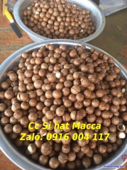 Hạt Macca dành cho bà bầu giá sỉ