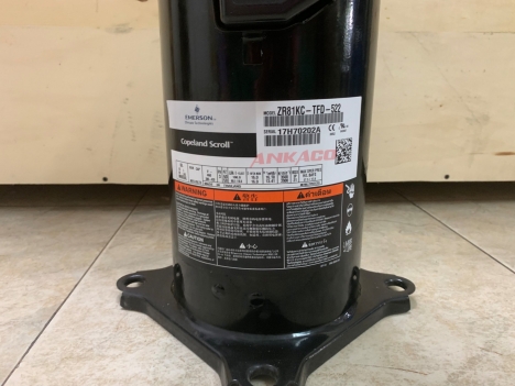 ANKACO-Chuyên cung cấp block Copeland ZR81 uy tín, chất lượng