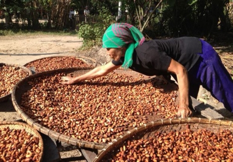 Bột Cacao nguyên chất 100% giúp giảm cân