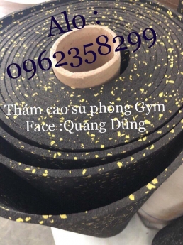 thảm phòng tập fitness