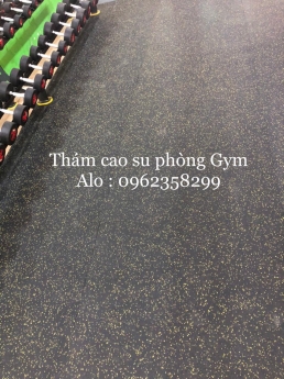 thảm phòng tập fitness