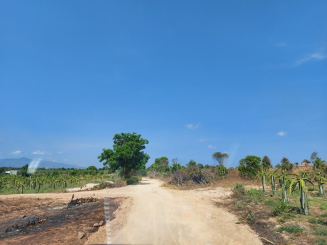 Đất Bình Thuận bao công chứng Sổ Đỏ. Giàu tiềm năng sinh lời