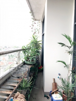 cần cho thuê căn hộ tại tràng an complex