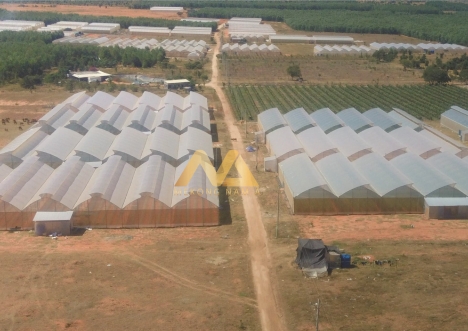 Đất gần Khu Du Lịch Bàu Trắng 5.000m2 350 triệu