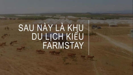 Đất vườn giá thấp lợi nhuận cao đã có sổ đỏ thích hợp đầu tư