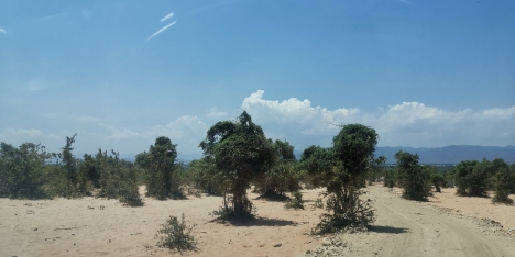 Nắm bắt ngay cơ hội đầu tư quỹ đất giàu tiềm năng, chỉ 70.000/m2