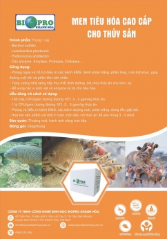 Cung cấp enzyme xử lý nước và tiêu hóa cho ao tôm nhập từ Mỹ