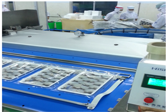 Máy đóng gói chân không băng tải Nishihara model AVP 6407 chính hãng