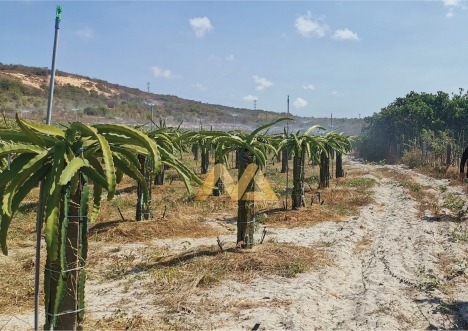 Nam Á Garden - Bán Đất Giá Rẻ đầu tư sinh lợi