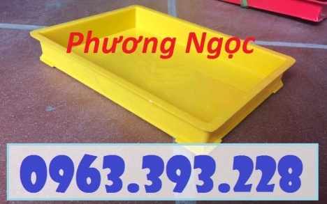 Khay nhựa đựng linh kiện, khay kích thước 300 x 208 x 42 mm, khay nhựa BL006